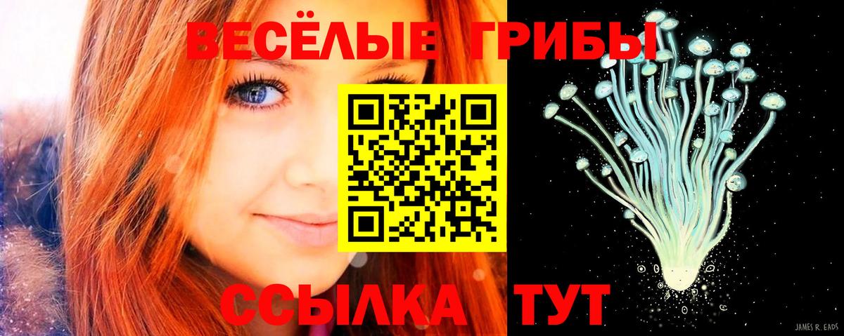 МАРИХУАНА  ГАШ  Вход с VPN  Новошахтинск  Меф МЯУ МЯУ   Меф МЯУ МЯУ 
